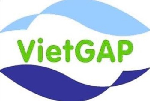 http://tainangviet.vn/source/image/KHCN/Viet-gap.jpg