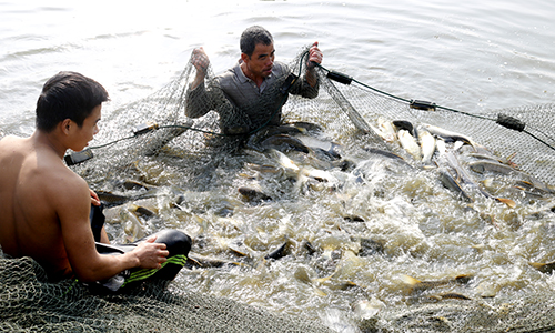 https://hatrung.thanhhoa.gov.vn/portal/Photos/2020-04/26b0ddb5a20dc02d_MG_9097.jpg