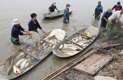 https://hatrung.thanhhoa.gov.vn/portal/Photos/2021-11-29/5bbc6c9c8d2aadfdIMG_8619.JPG