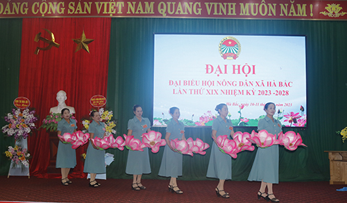 https://hatrung.thanhhoa.gov.vn/portal/Photos/2023-01/cdb563c8b0db8b0d_MG_2036%20-%20Copy.JPG